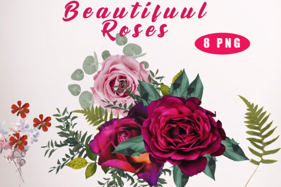 Beautiful Roses Watercolor Illustrations