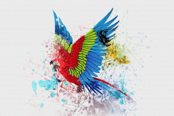 Bird Watercolor - Digital Paper