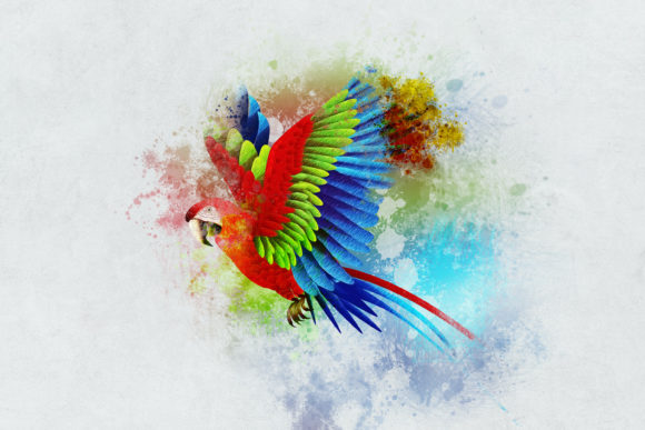 Bird Watercolor Digital Paper