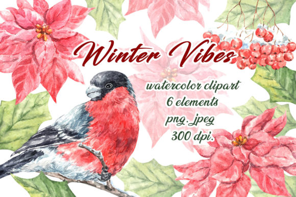Bullfinch Flowers Watercolor Clipart & Illustrations