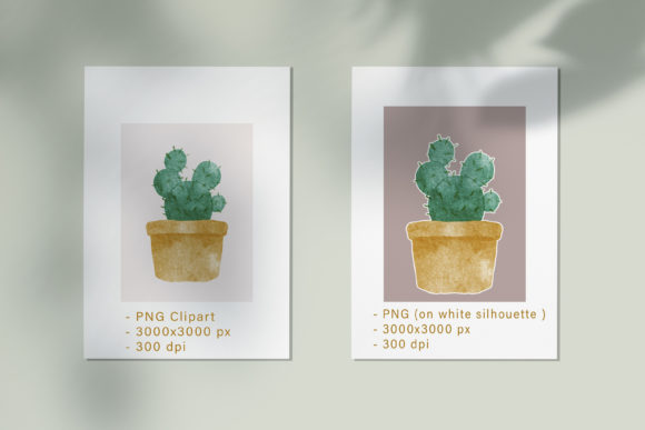 Cactus Watercolor Clipart for Illustrations