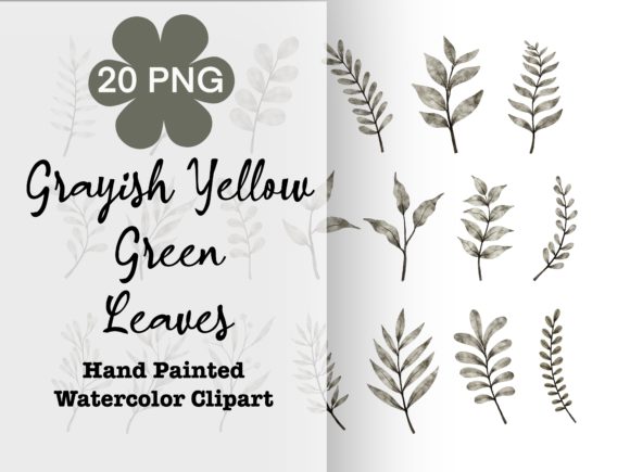 Grayish Yellow Green Leaves Watercolor Illustrations