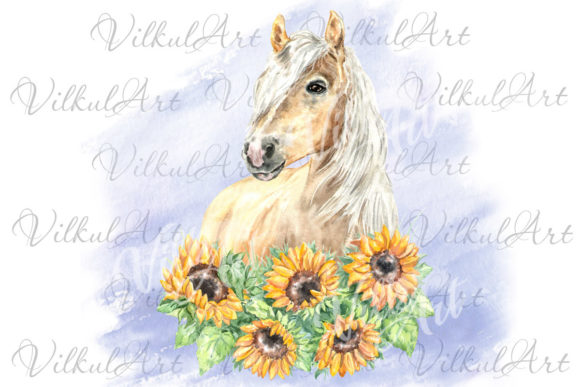 Horse Sunflowers Watercolor Illustrations