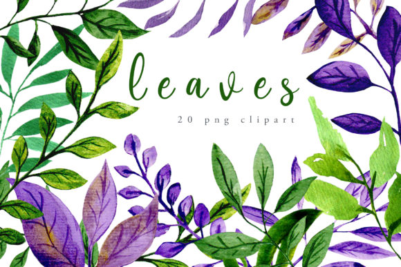 Leaves Watercolor Clipart Review