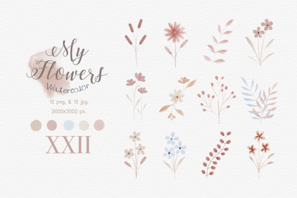 My Flowers Watercolor Illustrations