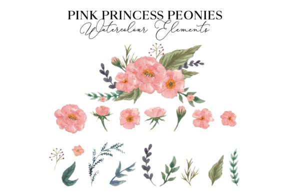 Pink Princess Peonies Watercolor Illustrations