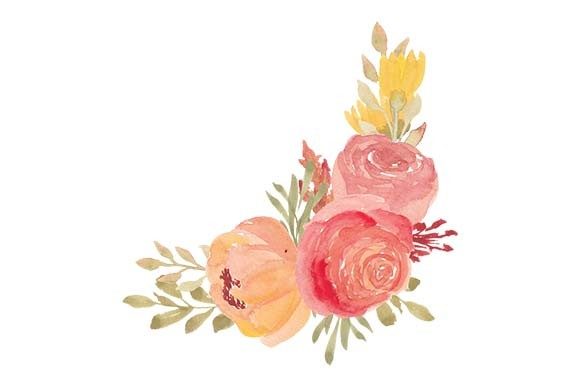 Rose Peony Floral Curve Watercolor Paint Illustrations