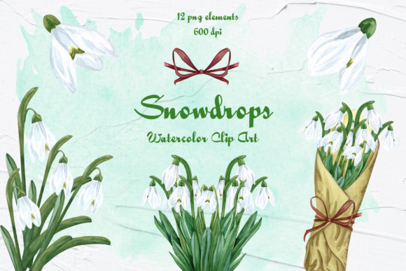 Snowdrops Watercolor Clip Art and Illustrations