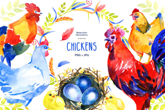 Watercolor Chicken Clipart and Illustrations
