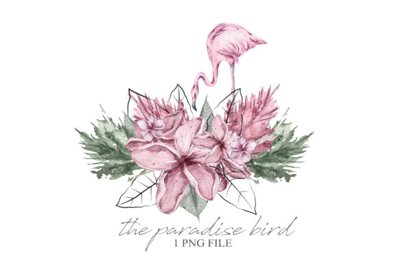 Watercolor Floral Flamingo Clipart and Illustrations