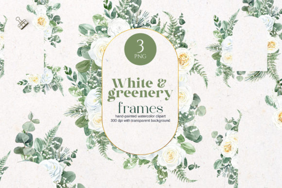 Watercolor Greenery Frame, White Roses Illustrations