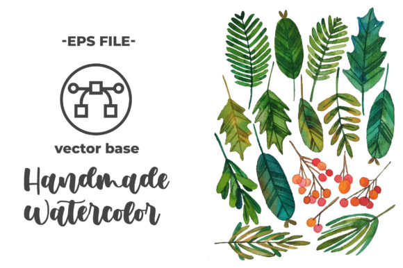 Watercolor Leaves Bundle Set and Illustrations