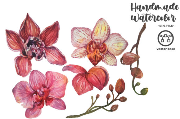 Watercolor Orchid Elements and Illustrations