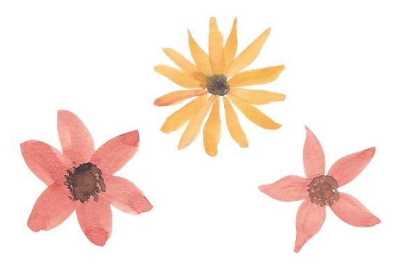 Watercolor Petal Flower Paint Set and Illustrations