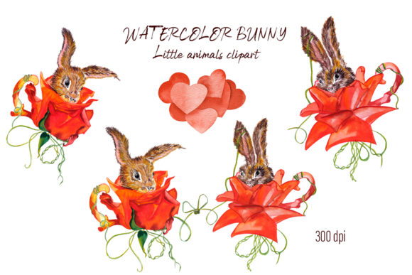 Watercolor Rabbit Little Animal Illustrations