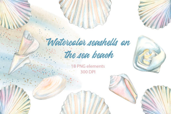 Watercolor Seashell Clipart - Sea Beach Illustrations