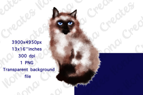 Watercolor Siamese Fluffy Cat Clip Art